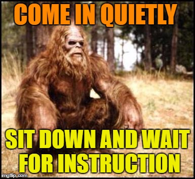sitting sasquatch | COME IN QUIETLY; SIT DOWN AND WAIT FOR INSTRUCTION | image tagged in sitting sasquatch | made w/ Imgflip meme maker