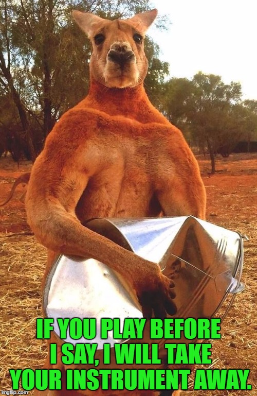 Kangaroo Crushing tin bucket | IF YOU PLAY BEFORE I SAY, I WILL TAKE YOUR INSTRUMENT AWAY. | image tagged in kangaroo crushing tin bucket | made w/ Imgflip meme maker