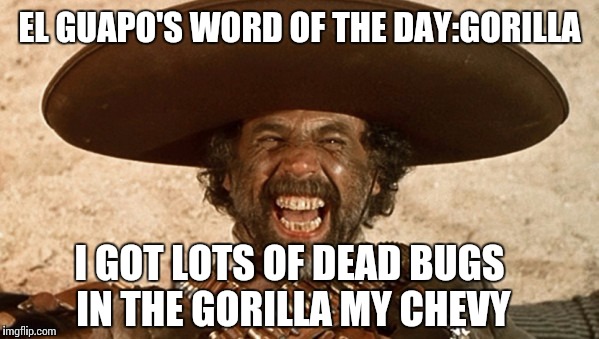 Are Gringos falling out of the sky? | EL GUAPO'S WORD OF THE DAY:GORILLA; I GOT LOTS OF DEAD BUGS IN THE GORILLA MY CHEVY | image tagged in mexican word of the day,el guapo,funny memes | made w/ Imgflip meme maker