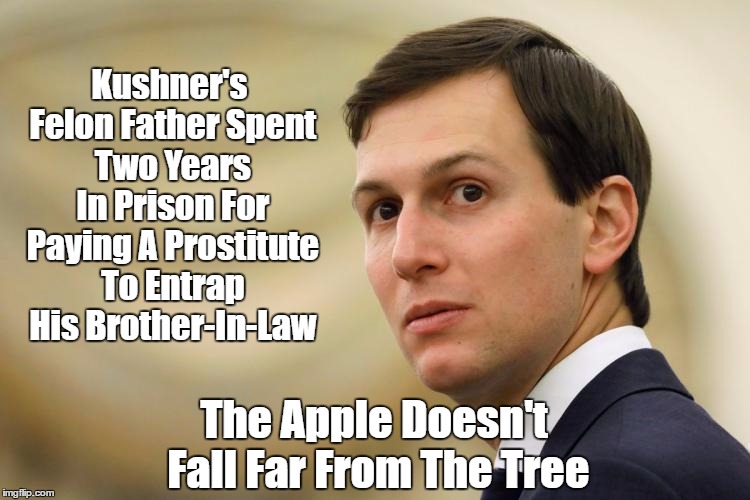 Image result for jared kushner, pax on both houses