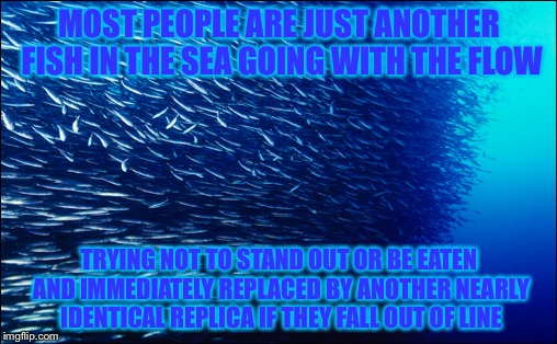 MOST PEOPLE ARE JUST ANOTHER FISH IN THE SEA GOING WITH THE FLOW TRYING NOT TO STAND OUT OR BE EATEN AND IMMEDIATELY REPLACED BY ANOTHER NEA | made w/ Imgflip meme maker