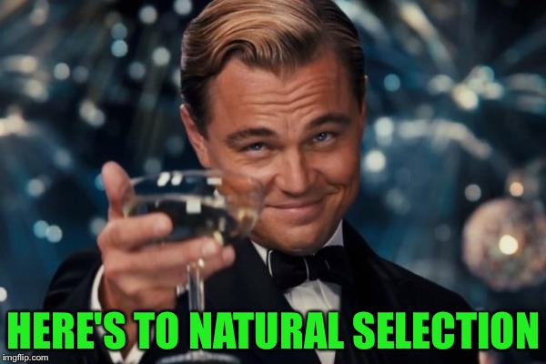 Leonardo Dicaprio Cheers Meme | HERE'S TO NATURAL SELECTION | image tagged in memes,leonardo dicaprio cheers | made w/ Imgflip meme maker