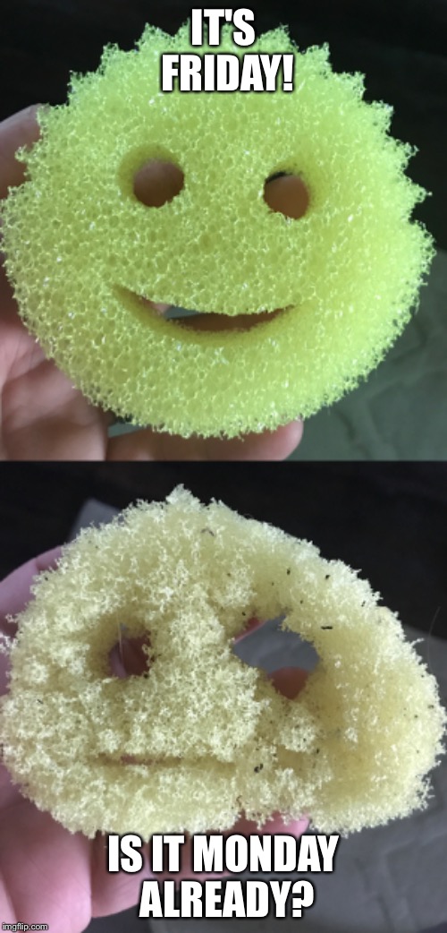 Friday Monday  | IT'S FRIDAY! IS IT MONDAY ALREADY? | image tagged in friday,monday,scrub daddy | made w/ Imgflip meme maker