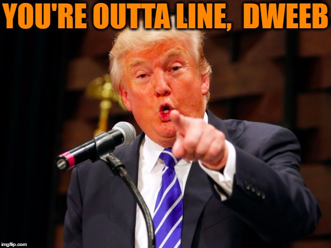 trump point | YOU'RE OUTTA LINE,  DWEEB | image tagged in trump point | made w/ Imgflip meme maker