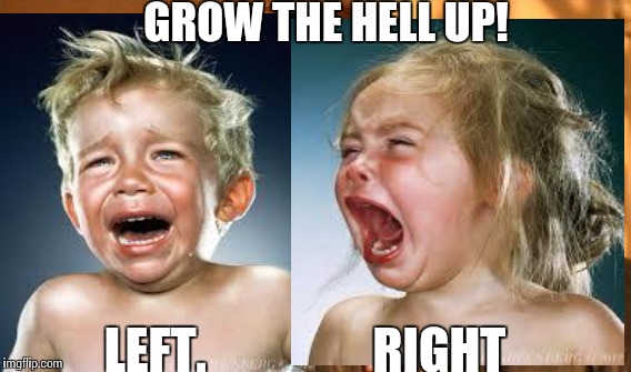 All the political SHIT on imgflip... | GROW THE HELL UP! LEFT.                 RIGHT | image tagged in trump,hillary,dimwitcrats,re-pubelickins,funny | made w/ Imgflip meme maker
