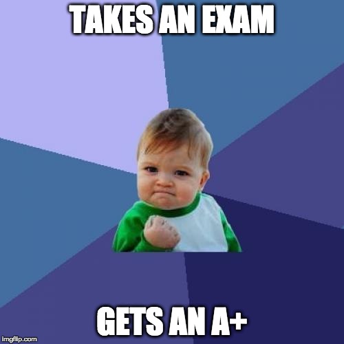 Success Kid Meme | TAKES AN EXAM; GETS AN A+ | image tagged in memes,success kid | made w/ Imgflip meme maker
