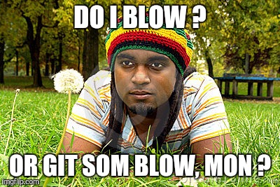 Memes | DO I BLOW ? OR GIT SOM BLOW, MON ? | image tagged in memes | made w/ Imgflip meme maker