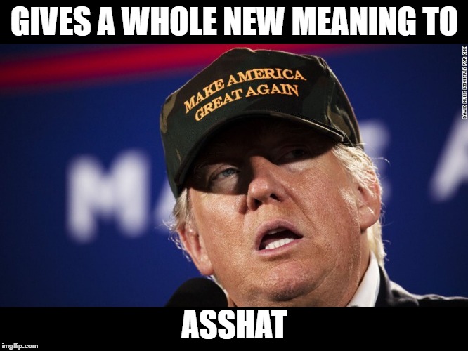 Trump hat text | GIVES A WHOLE NEW MEANING TO; ASSHAT | image tagged in trump hat text | made w/ Imgflip meme maker