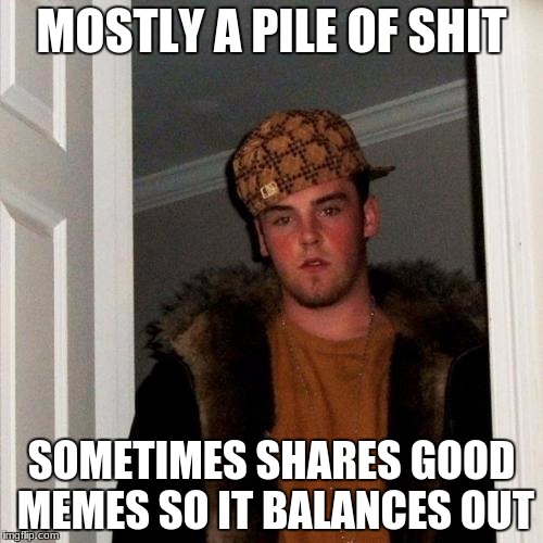 Scumbag Steve | MOSTLY A PILE OF SHIT; SOMETIMES SHARES GOOD MEMES SO IT BALANCES OUT | image tagged in memes,scumbag steve | made w/ Imgflip meme maker