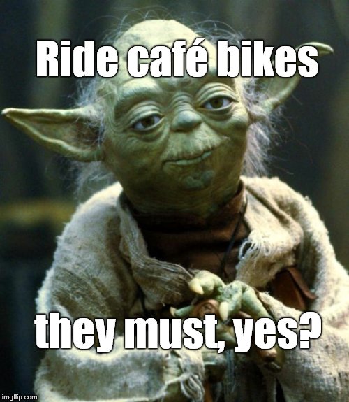 Star Wars Yoda Meme | Ride café bikes they must, yes? | image tagged in memes,star wars yoda | made w/ Imgflip meme maker