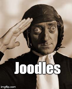 Marty Feldman copy that! | Joodles | image tagged in copy that | made w/ Imgflip meme maker