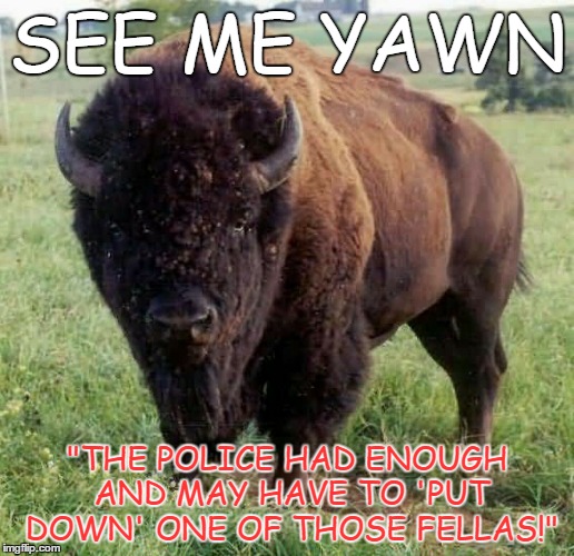 SEE ME YAWN | SEE ME YAWN; "THE POLICE HAD ENOUGH AND MAY HAVE TO 'PUT DOWN' ONE OF THOSE FELLAS!" | image tagged in politics | made w/ Imgflip meme maker