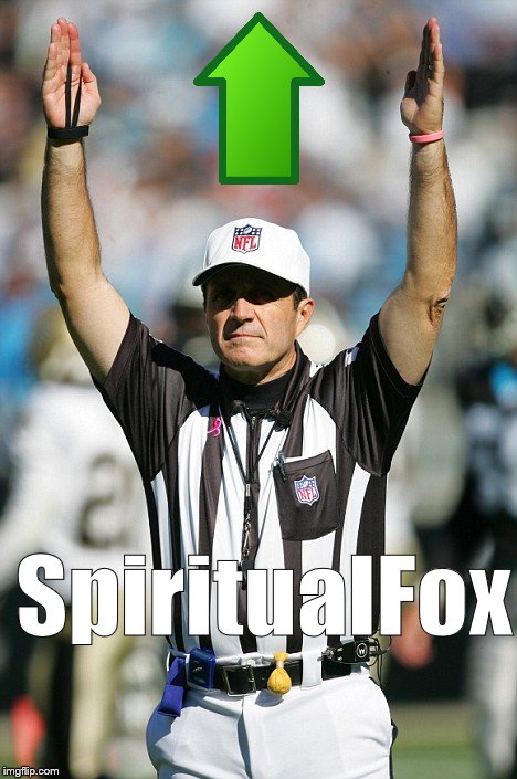 TOUCHDOWN! | SpiritualFox | image tagged in touchdown | made w/ Imgflip meme maker