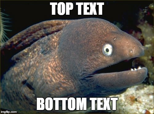 Bad Joke Eel Meme | TOP TEXT; BOTTOM TEXT | image tagged in memes,bad joke eel | made w/ Imgflip meme maker
