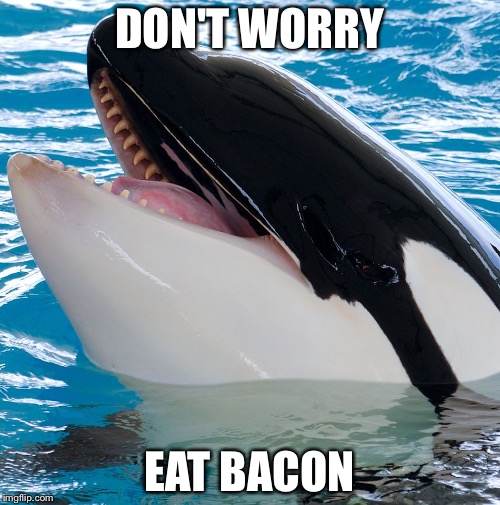 Free Willy 3  | DON'T WORRY; EAT BACON | image tagged in free willy 3 | made w/ Imgflip meme maker