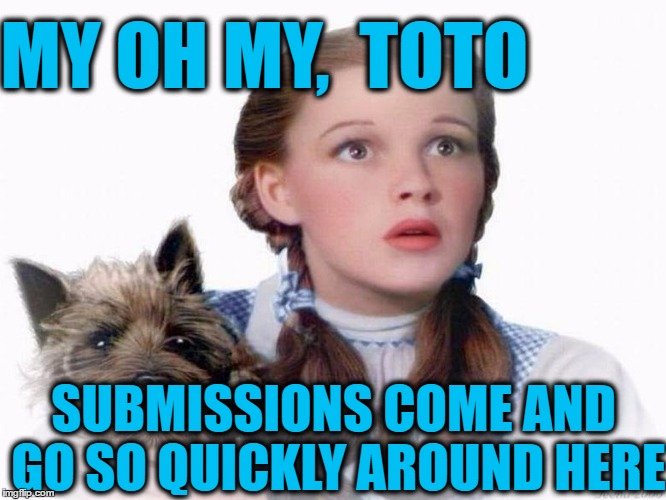 MY OH MY,  TOTO SUBMISSIONS COME AND GO SO QUICKLY AROUND HERE | made w/ Imgflip meme maker