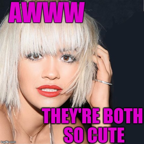 ditz | AWWW THEY'RE BOTH SO CUTE | image tagged in ditz | made w/ Imgflip meme maker