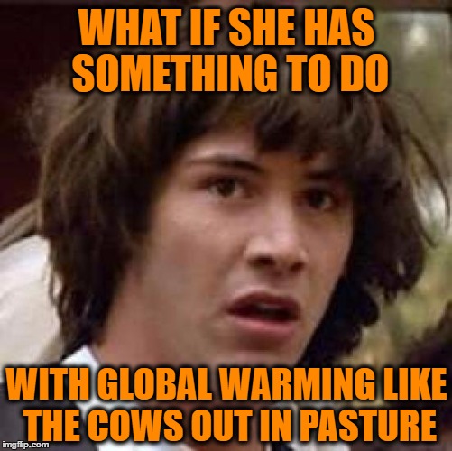 Conspiracy Keanu Meme | WHAT IF SHE HAS SOMETHING TO DO WITH GLOBAL WARMING LIKE THE COWS OUT IN PASTURE | image tagged in memes,conspiracy keanu | made w/ Imgflip meme maker
