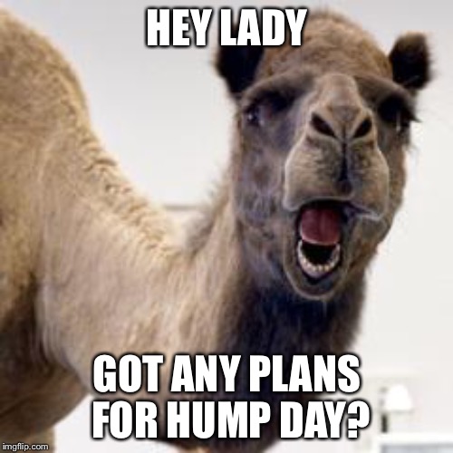 HEY LADY GOT ANY PLANS FOR HUMP DAY? | made w/ Imgflip meme maker