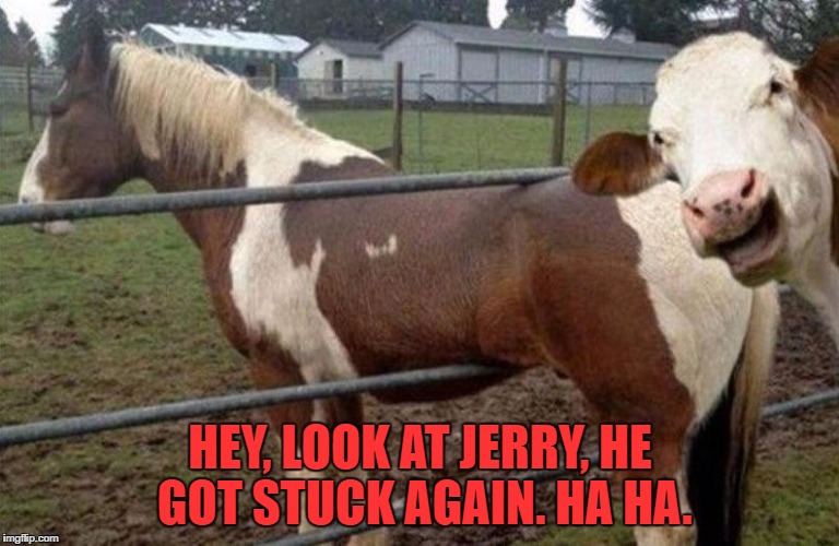 HEY, LOOK AT JERRY, HE GOT STUCK AGAIN. HA HA. | image tagged in he did it again | made w/ Imgflip meme maker