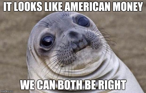Awkward Moment Sealion Meme | IT LOOKS LIKE AMERICAN MONEY WE CAN BOTH BE RIGHT | image tagged in memes,awkward moment sealion | made w/ Imgflip meme maker