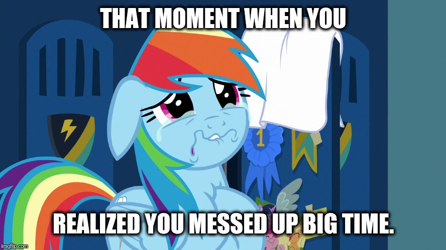 When you messed up big time | THAT MOMENT WHEN YOU; REALIZED YOU MESSED UP BIG TIME. | image tagged in the feels,heartbreak,mlp,mlp fim,rainbow dash | made w/ Imgflip meme maker