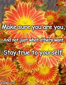 flowers | Make sure you are you, And not just what others want. Stay true to yourself. | image tagged in flowers | made w/ Imgflip meme maker