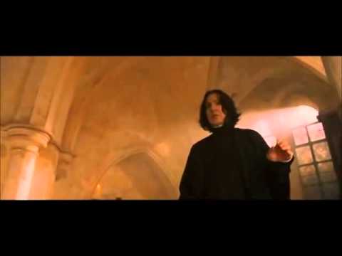 Severus Snape Harry Potter Our New Celebrity  Blank Meme Template