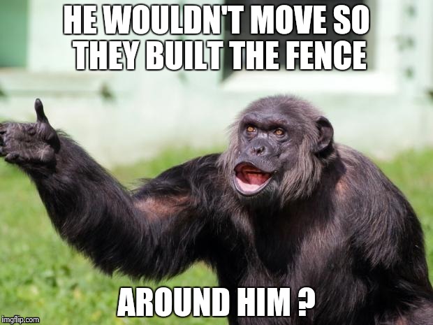 Gorilla your dreams | HE WOULDN'T MOVE SO THEY BUILT THE FENCE AROUND HIM ? | image tagged in gorilla your dreams | made w/ Imgflip meme maker