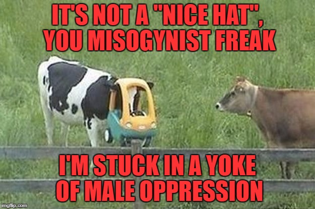 bovine feminist | IT'S NOT A "NICE HAT", YOU MISOGYNIST FREAK; I'M STUCK IN A YOKE OF MALE OPPRESSION | image tagged in misogynist freak,bovine,cow,feminist | made w/ Imgflip meme maker