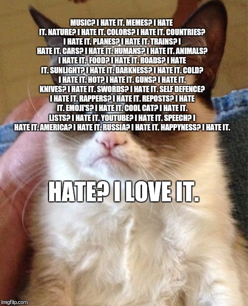 A shortened list of everything grumpy cat hates. | MUSIC? I HATE IT. MEMES? I HATE IT. NATURE? I HATE IT. COLORS? I HATE IT. COUNTRIES? I HATE IT. PLANES? I HATE IT. TRAINS? I HATE IT. CARS? I HATE IT. HUMANS? I HATE IT. ANIMALS? I HATE IT.  FOOD? I HATE IT. ROADS? I HATE IT. SUNLIGHT? I HATE IT. DARKNESS? I HATE IT. COLD? I HATE IT. HOT? I HATE IT. GUNS? I HATE IT. KNIVES? I HATE IT. SWORDS? I HATE IT. SELF DEFENCE? I HATE IT. RAPPERS? I HATE IT. REPOSTS? I HATE IT. EMOJI'S? I HATE IT. COOL CAT? I HATE IT. LISTS? I HATE IT. YOUTUBE? I HATE IT. SPEECH? I HATE IT. AMERICA? I HATE IT. RUSSIA? I HATE IT. HAPPYNESS? I HATE IT. HATE? I LOVE IT. | image tagged in memes,grumpy cat,hate,list | made w/ Imgflip meme maker