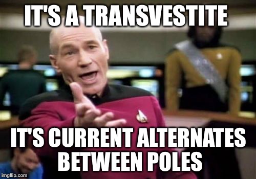 Picard Wtf Meme | IT'S A TRANSVESTITE IT'S CURRENT ALTERNATES BETWEEN POLES | image tagged in memes,picard wtf | made w/ Imgflip meme maker