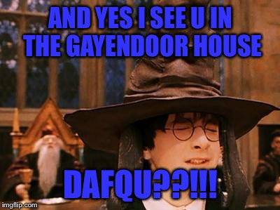 Harry Potter Hat | AND YES I SEE U IN THE GAYENDOOR HOUSE; DAFQU??!!! | image tagged in harry potter hat | made w/ Imgflip meme maker