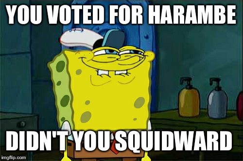 Don't You Squidward Meme | YOU VOTED FOR HARAMBE; DIDN'T YOU SQUIDWARD | image tagged in memes,dont you squidward | made w/ Imgflip meme maker