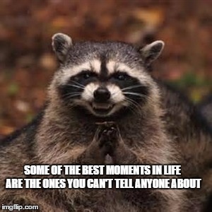 Sneaky Coon | SOME OF THE BEST MOMENTS IN LIFE ARE THE ONES YOU CAN'T TELL ANYONE ABOUT | image tagged in sneaky coon | made w/ Imgflip meme maker