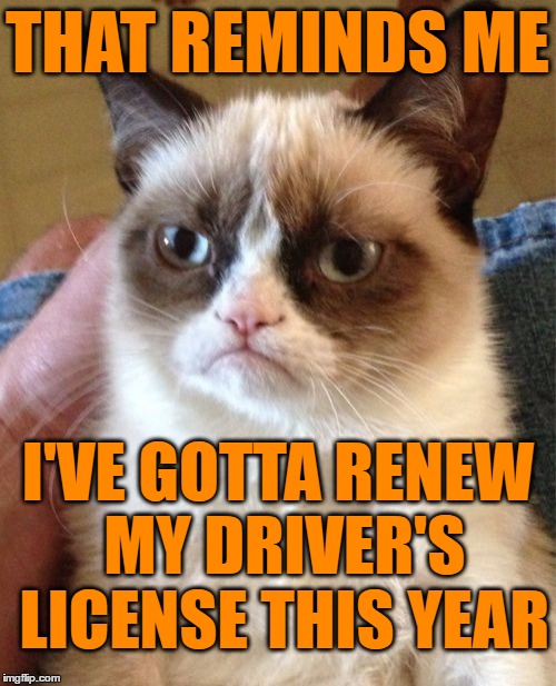 Grumpy Cat Meme | THAT REMINDS ME I'VE GOTTA RENEW MY DRIVER'S LICENSE THIS YEAR | image tagged in memes,grumpy cat | made w/ Imgflip meme maker