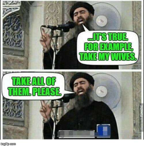 Is this thing on? | ...IT'S TRUE. FOR EXAMPLE, TAKE MY WIVES. TAKE ALL OF THEM. PLEASE. | image tagged in islam | made w/ Imgflip meme maker