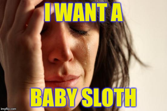 First World Problems Meme | I WANT A; BABY SLOTH | image tagged in memes,first world problems | made w/ Imgflip meme maker