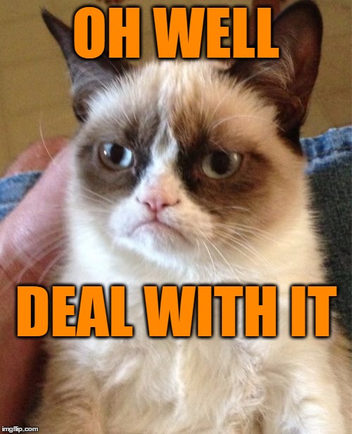 Grumpy Cat Meme | OH WELL DEAL WITH IT | image tagged in memes,grumpy cat | made w/ Imgflip meme maker