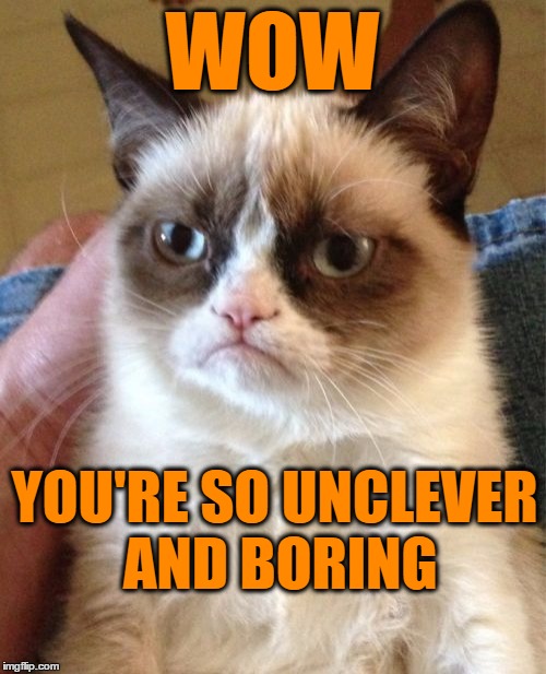 Grumpy Cat Meme | WOW YOU'RE SO UNCLEVER AND BORING | image tagged in memes,grumpy cat | made w/ Imgflip meme maker
