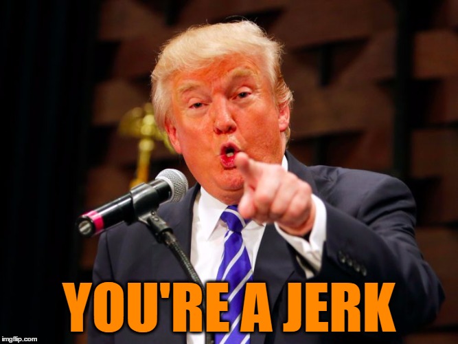 trump point | YOU'RE A JERK | image tagged in trump point | made w/ Imgflip meme maker