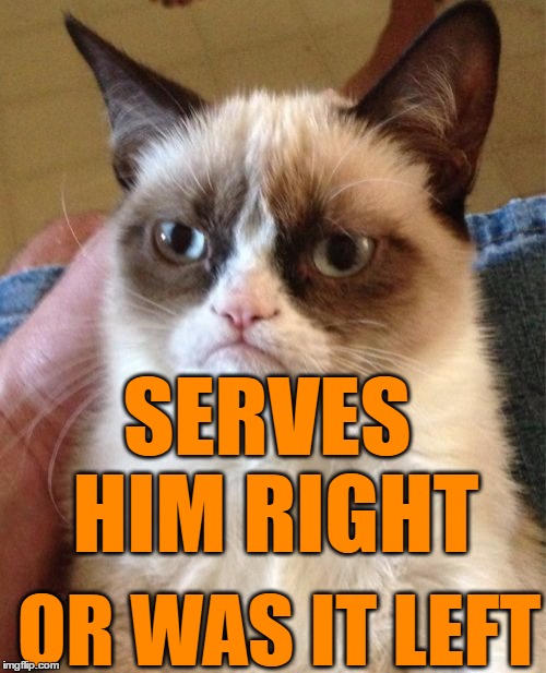 Grumpy Cat Meme | SERVES HIM RIGHT OR WAS IT LEFT | image tagged in memes,grumpy cat | made w/ Imgflip meme maker