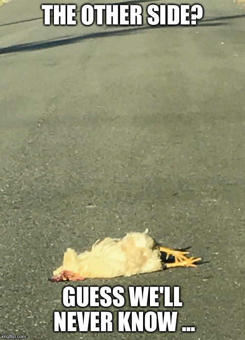 THE OTHER SIDE? GUESS WE'LL NEVER KNOW ... | image tagged in why the chicken cross the road,bad joke chicken | made w/ Imgflip meme maker