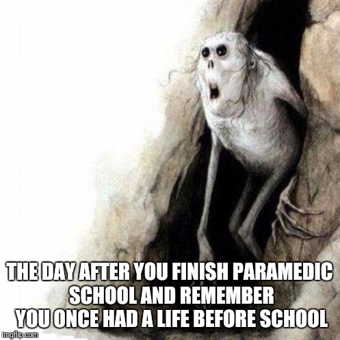 THE DAY AFTER YOU FINISH PARAMEDIC SCHOOL AND REMEMBER YOU ONCE HAD A LIFE BEFORE SCHOOL | image tagged in paramedic,school | made w/ Imgflip meme maker