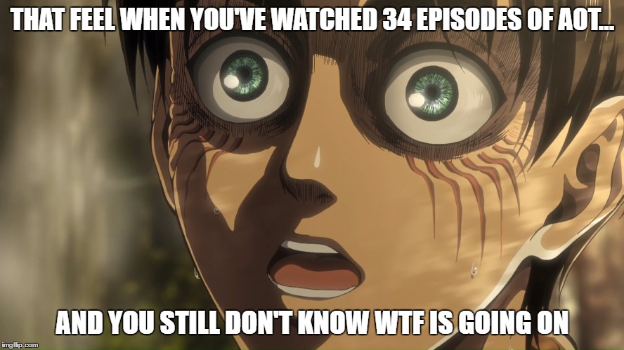 Attack on Titan | THAT FEEL WHEN YOU'VE WATCHED 34 EPISODES OF AOT... AND YOU STILL DON'T KNOW WTF IS GOING ON | image tagged in eren,aot,that feeling when,that feel | made w/ Imgflip meme maker