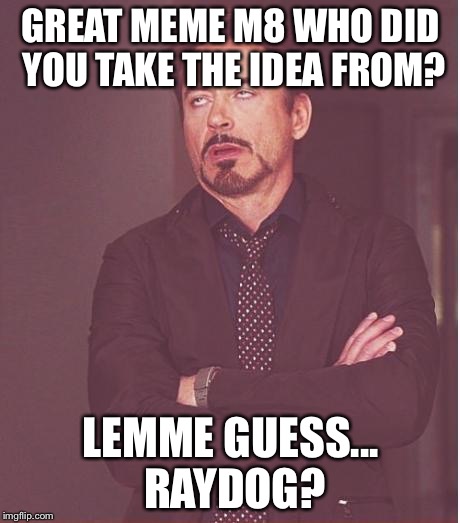 Face You Make Robert Downey Jr Meme | GREAT MEME M8 WHO DID YOU TAKE THE IDEA FROM? LEMME GUESS... RAYDOG? | image tagged in memes,face you make robert downey jr | made w/ Imgflip meme maker