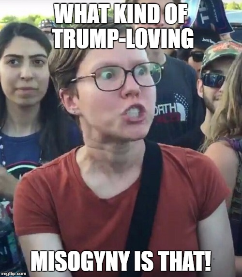 WHAT KIND OF TRUMP-LOVING MISOGYNY IS THAT! | made w/ Imgflip meme maker