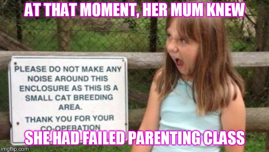 Parenting like a boss | AT THAT MOMENT, HER MUM KNEW; SHE HAD FAILED PARENTING CLASS | image tagged in failed,screaming | made w/ Imgflip meme maker