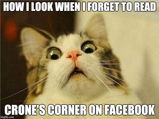 catsurprised | HOW I LOOK WHEN I FORGET TO READ; CRONE'S CORNER ON FACEBOOK | image tagged in catsurprised | made w/ Imgflip meme maker