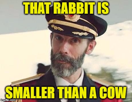 Captain Obvious | THAT RABBIT IS SMALLER THAN A COW | image tagged in captain obvious | made w/ Imgflip meme maker